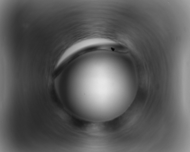 X0000088880077200706151819