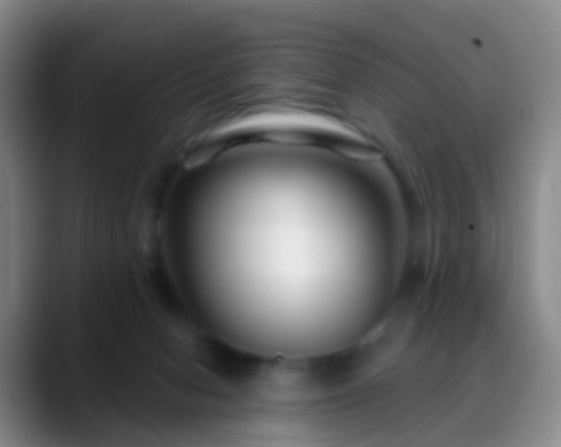 X0000088880078200706151819