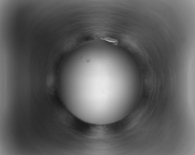 X0000088880079200706151819