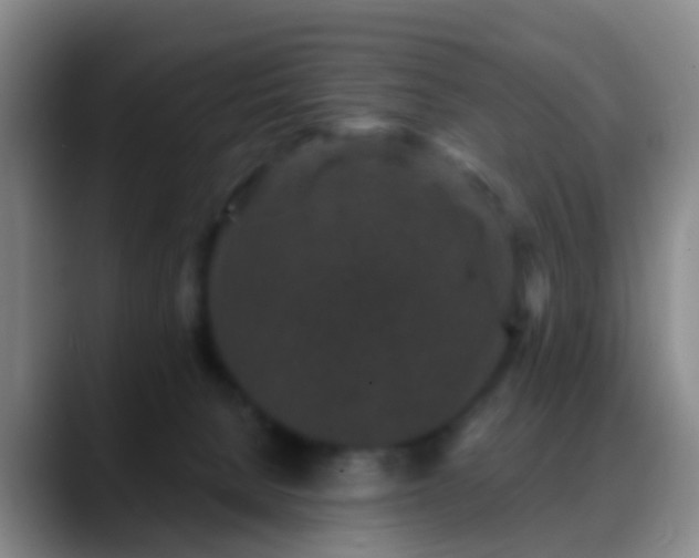 X0000088880080200706151819