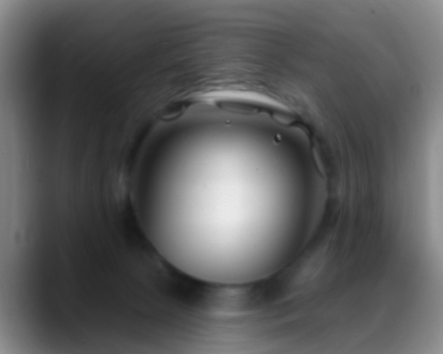 X0000088880081200706151819