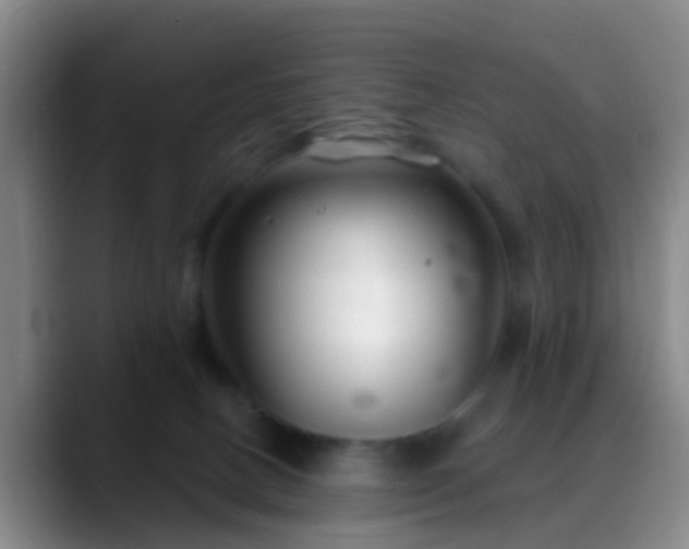 X0000088880082200706151819