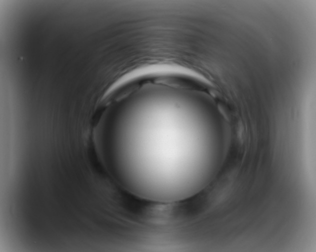 X0000088880084200706151819