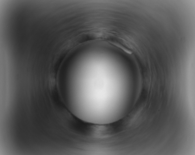 X0000088880085200706151819