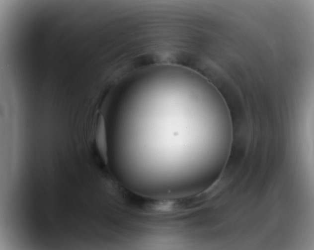 X0000088880090200706151819