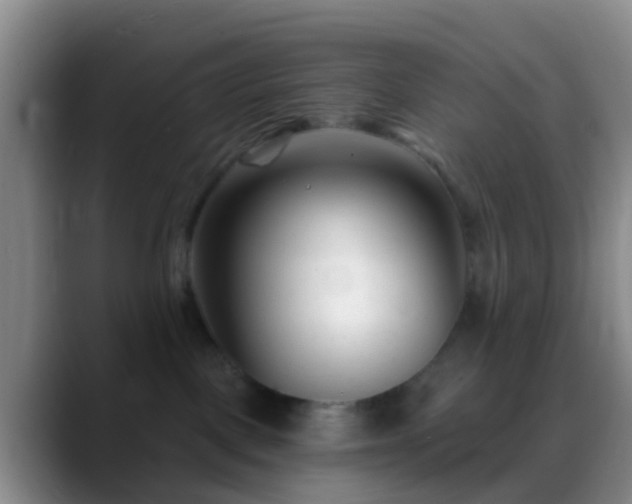 X0000088880093200706151819