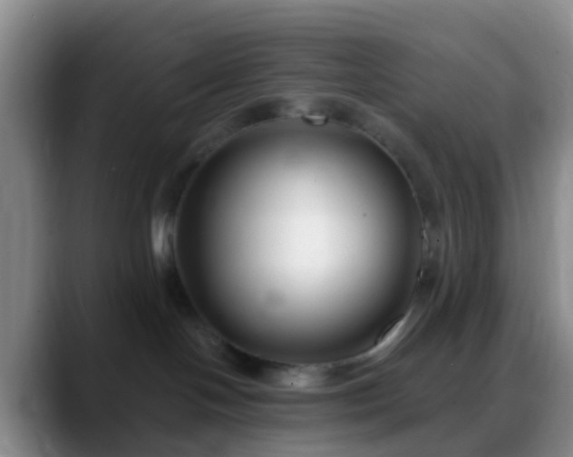 X0000088880094200706151819