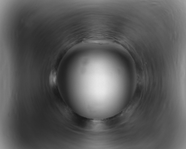 X0000088880095200706151819