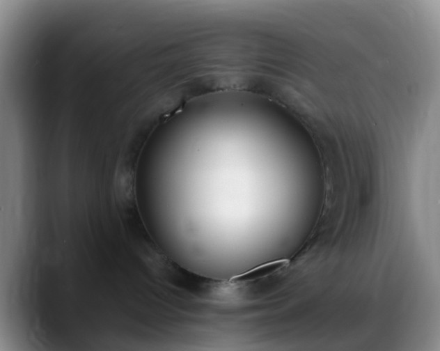 X0000088880096200706151819