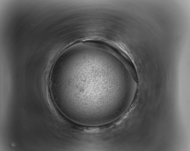 X0000088880097200706151819