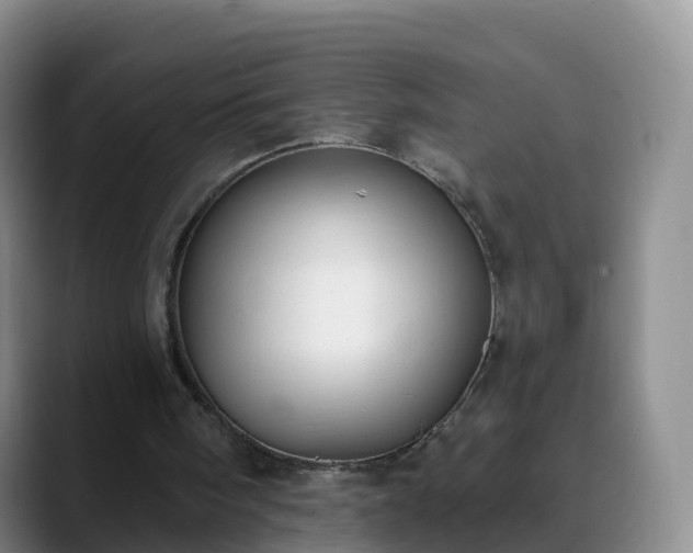 X0000088880098200706151819