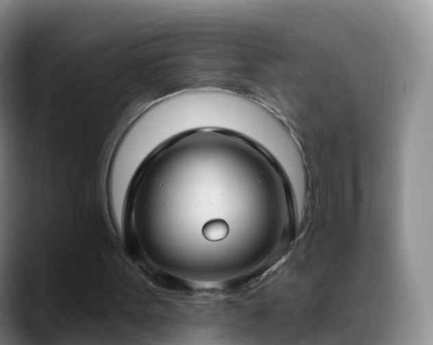 X0000088880099200706151819