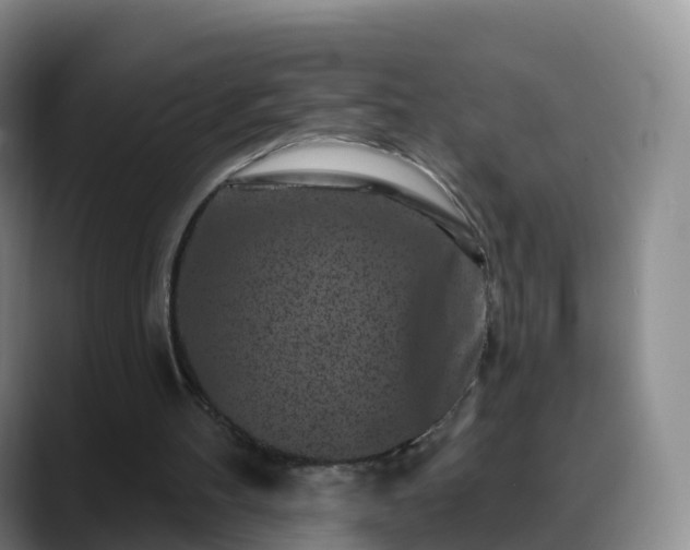 X0000088880100200706151819