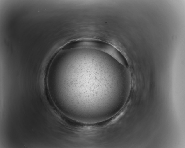 X0000088880101200706151819