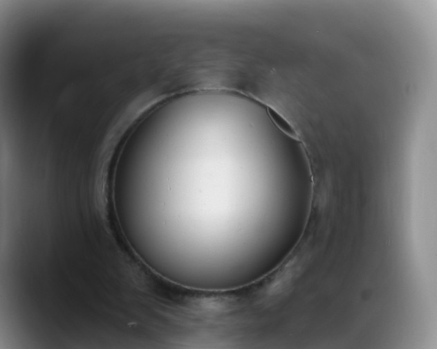 X0000088880103200706151819