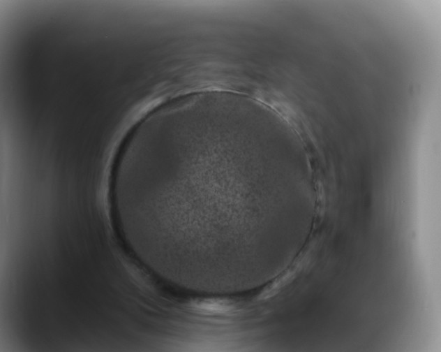 X0000088880104200706151819