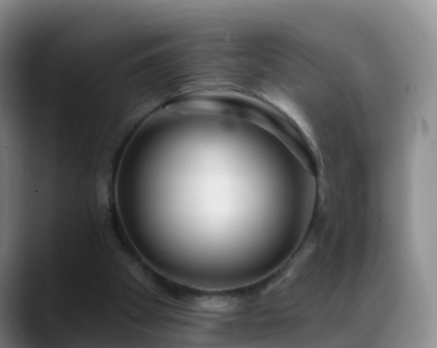 X0000088880105200706151819