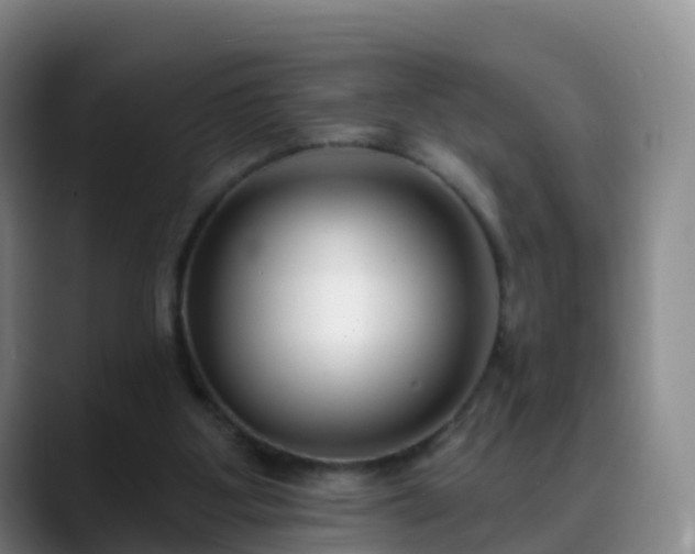 X0000088880107200706151819