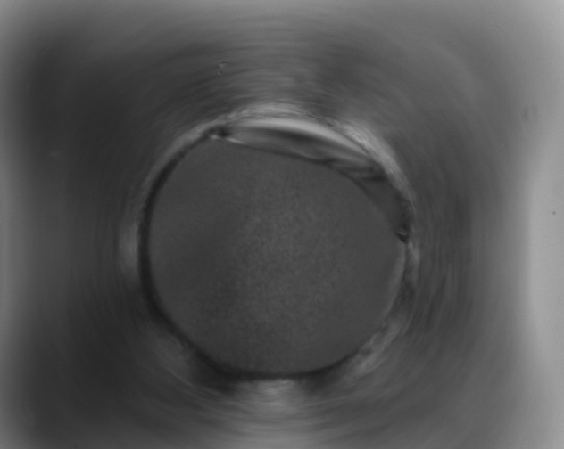 X0000088880108200706151819