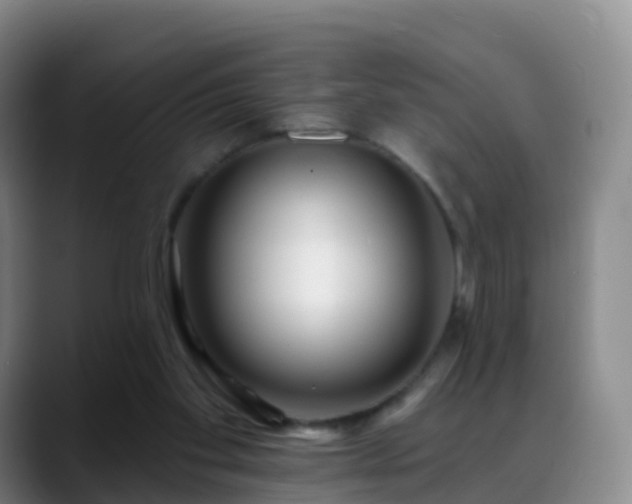 X0000088880109200706151819