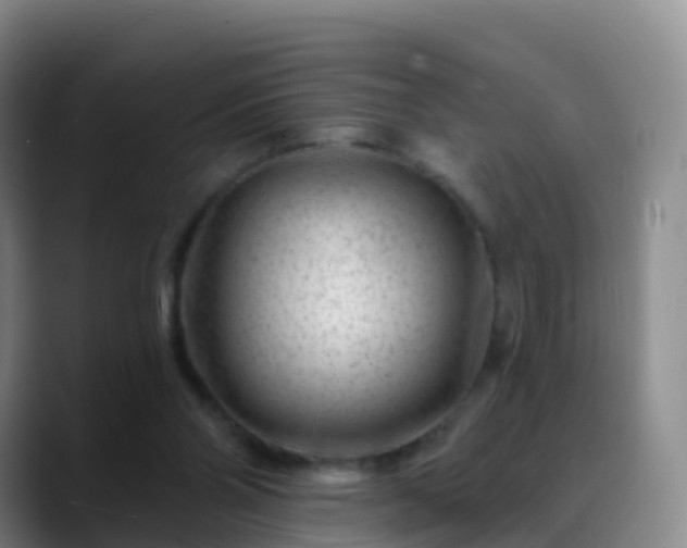 X0000088880110200706151819