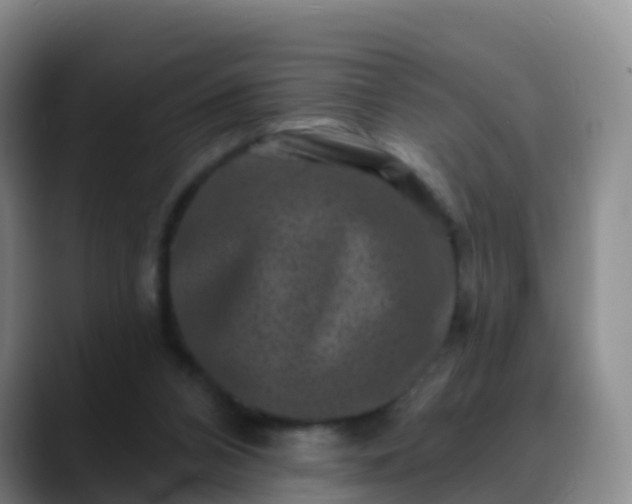 X0000088880112200706151819