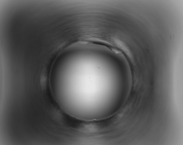 X0000088880113200706151819