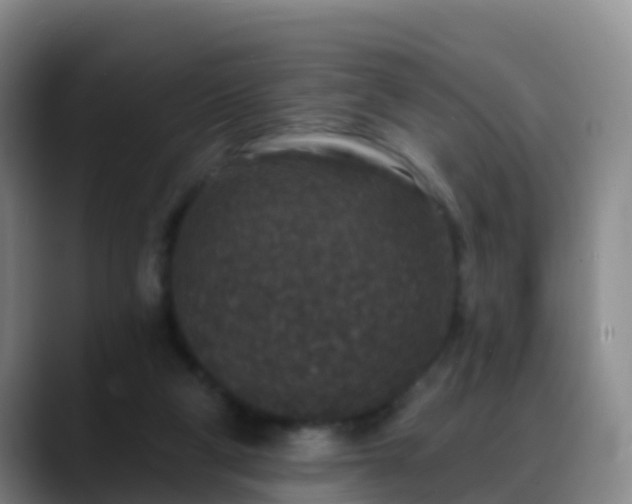 X0000088880114200706151819