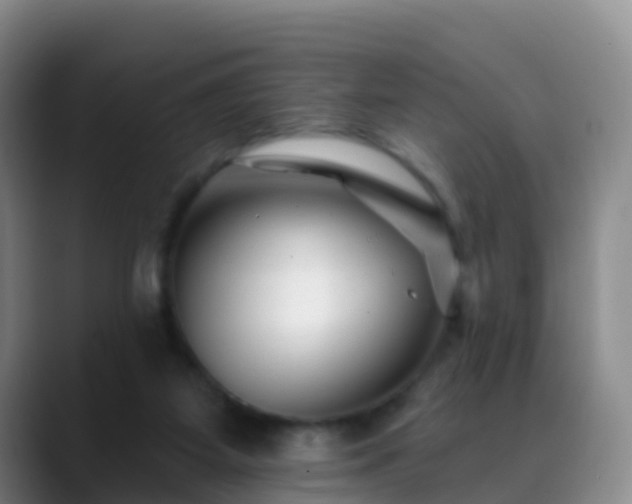 X0000088880115200706151819