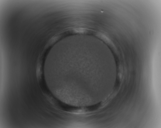 X0000088880116200706151819