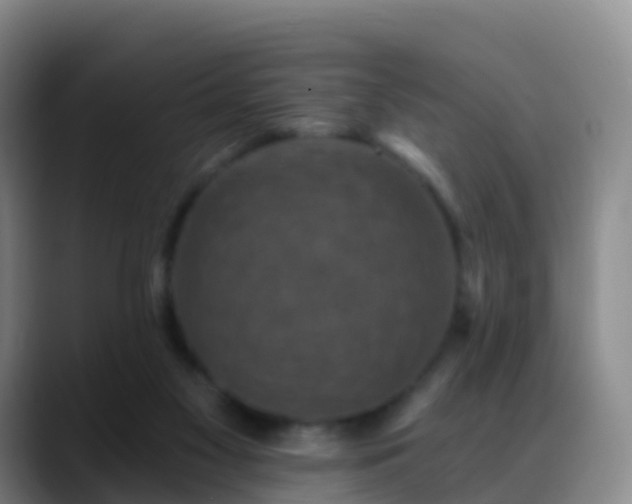 X0000088880117200706151819