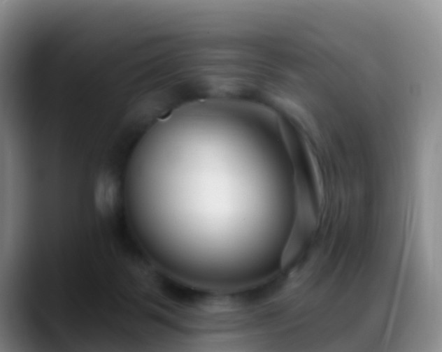 X0000088880123200706151818