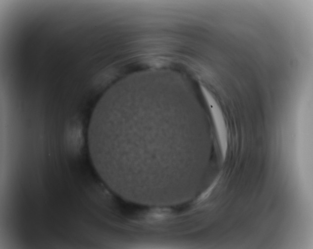 X0000088880128200706151818