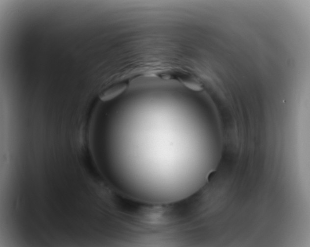 X0000088880131200706151818