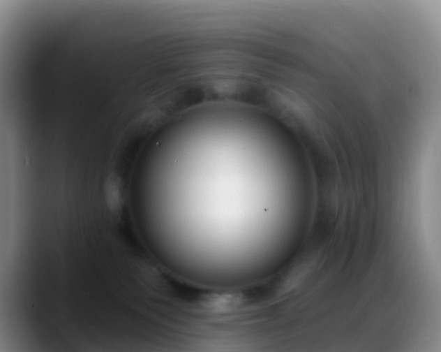 X0000088880135200706151818