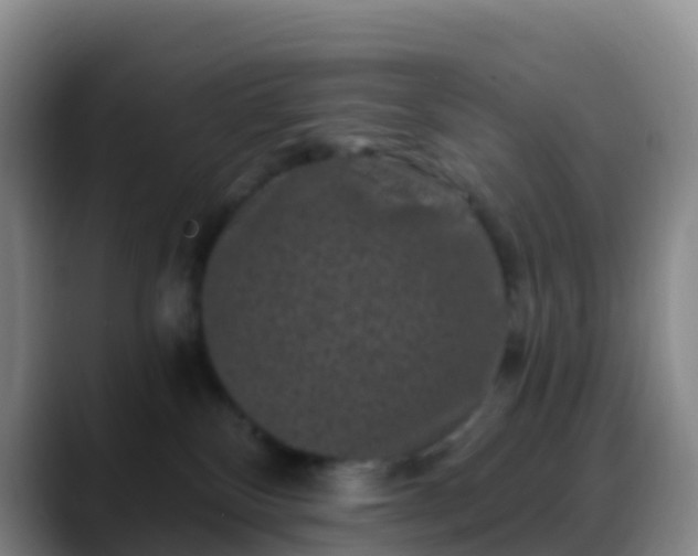 X0000088880136200706151818