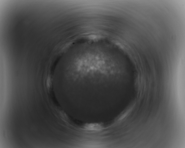 X0000088880137200706151818