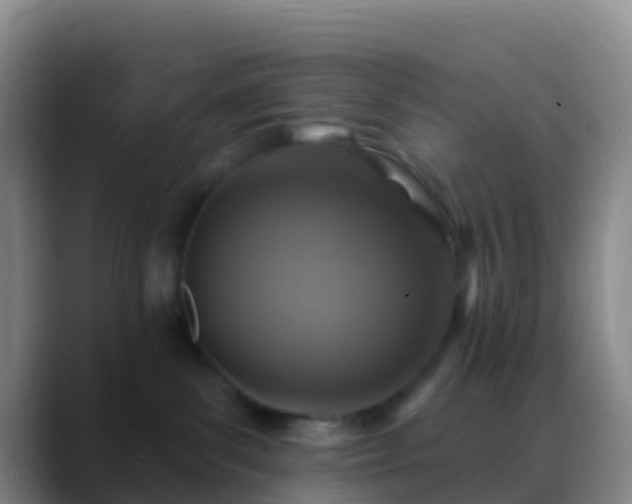 X0000088880139200706151818