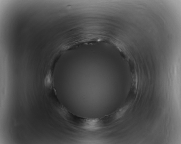 X0000088880143200706151818