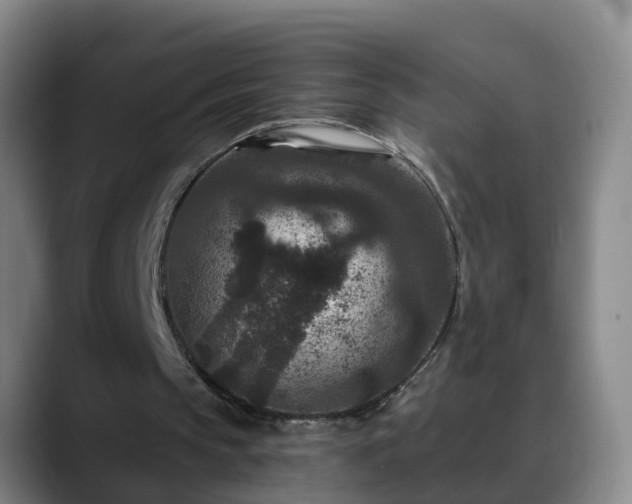 X0000088880145200706151818