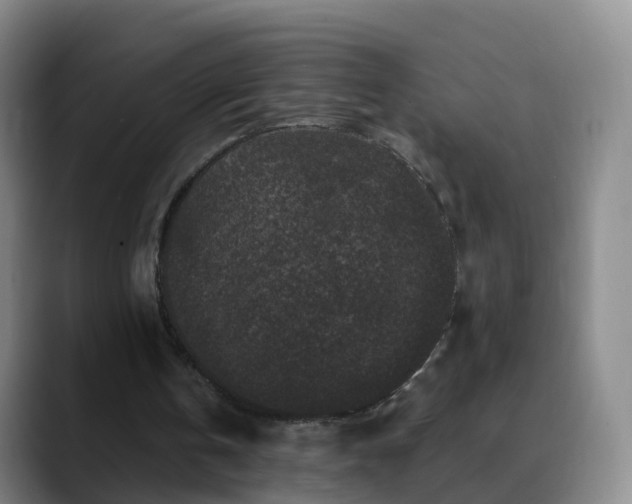 X0000088880146200706151818