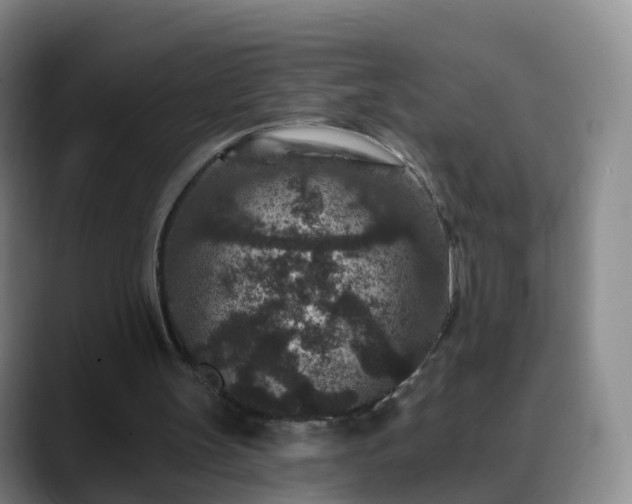 X0000088880147200706151818