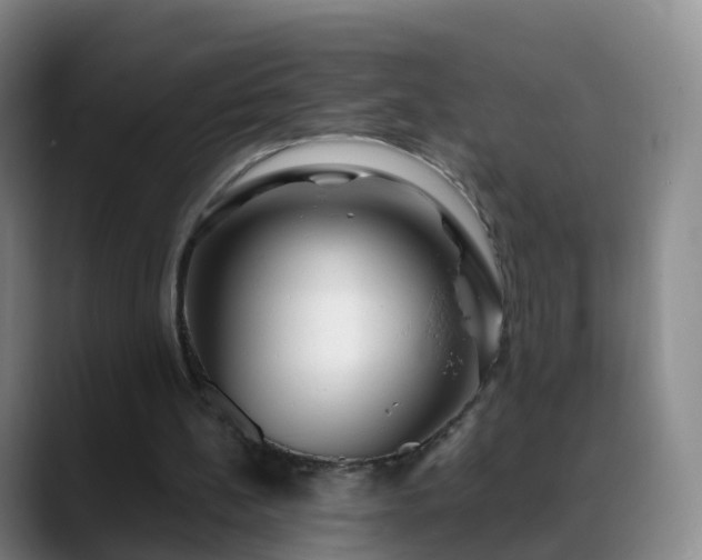 X0000088880148200706151818