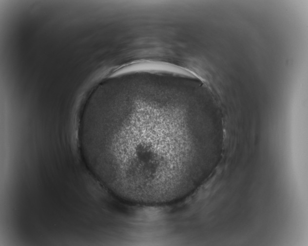 X0000088880149200706151818