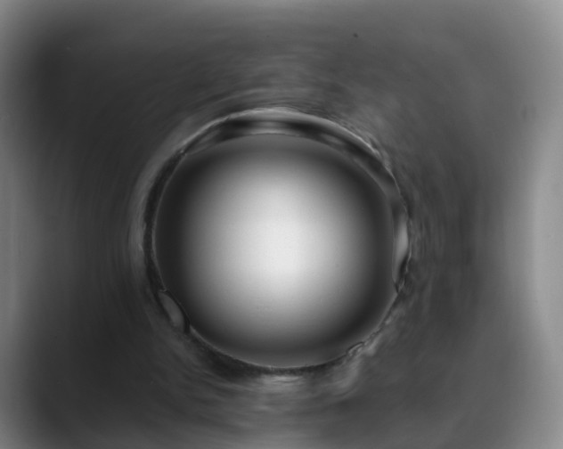 X0000088880150200706151818