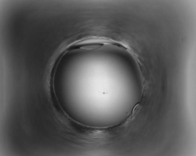 X0000088880151200706151818