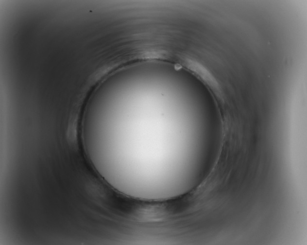 X0000088880155200706151818