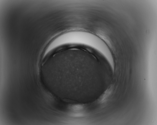 X0000088880156200706151818