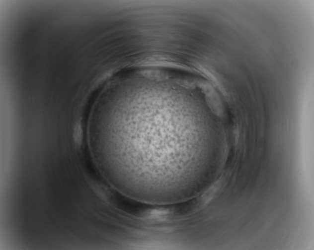 X0000088880158200706151818