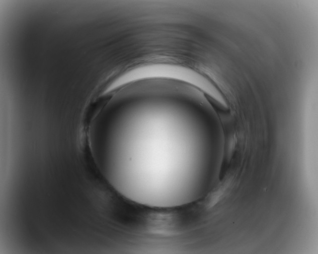 X0000088880160200706151818